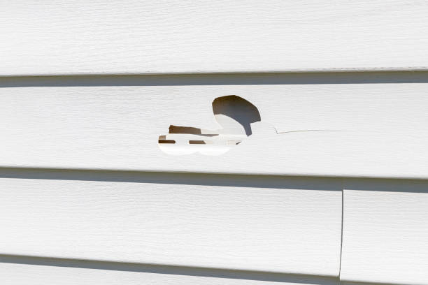 Best Shed Removal  in Lafayette, CO